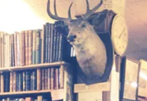 PureWow.com's Best Bookstore in Michigan