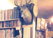 Long Live the Unoptimized Bookstore What Amazon will never replicate.