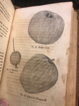 A VIEW OF THE CULTIVATION OF FRUIT TREES And The Management Of Orchards And Cider; With...Native And Foreign Apple, Peaches, Plums And Cherries, Cultivated In The Middle States Of America
