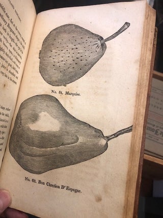 A VIEW OF THE CULTIVATION OF FRUIT TREES And The Management Of Orchards And Cider; With...Native And Foreign Apple, Peaches, Plums And Cherries, Cultivated In The Middle States Of America
