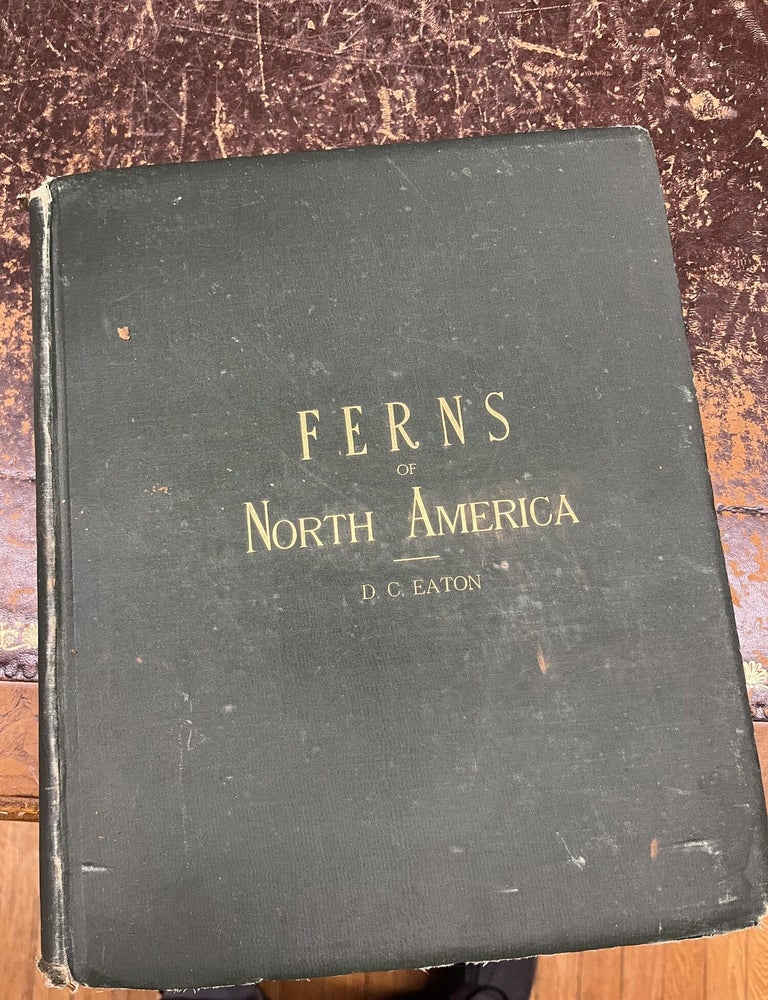 Item #22-8280 THE FERNS OF NORTH AMERICA, Colored Figures and Descriptions with Synonymy and Geographical Distribution of the Ferns (Including the Ophioglossaceae) of the United States of America and the British North American Possessions [two volumes]. Daniel Cady Eaton.