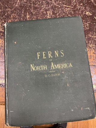 THE FERNS OF NORTH AMERICA, Colored Figures and Descriptions with Synonymy and Geographical. Daniel Cady Eaton.