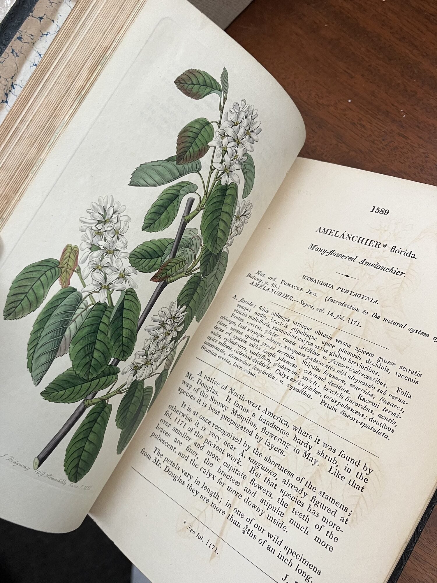 THE BOTANICAL REGISTER; Or, Ornamental Flower-Garden And Shrubbery ...