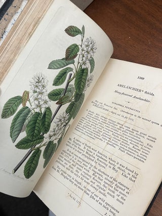 THE BOTANICAL REGISTER; Or, Ornamental Flower-Garden And Shrubbery Consisting Of Coloured Figures Of Plants And Shrubs, Cultivated In British Gardens; Accompanied By Their History, Best Method Of Treatment In Cultivation, Propagation, &c.The Designs By Sydenham Edwards, And Others. Volume XIV and Lindley, John "THE BOTANICAL REGISTER&hellip;Continued By John Lindley&hellip;" Volumes XV-XXX [twenty volumes total] (spine title: "Botanical Register New Series" and numbered I-XX)