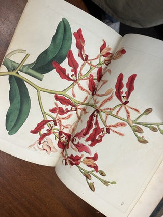 THE BOTANICAL REGISTER; Or, Ornamental Flower-Garden And Shrubbery Consisting Of Coloured Figures Of Plants And Shrubs, Cultivated In British Gardens; Accompanied By Their History, Best Method Of Treatment In Cultivation, Propagation, &c.The Designs By Sydenham Edwards, And Others. Volume XIV and Lindley, John "THE BOTANICAL REGISTER&hellip;Continued By John Lindley&hellip;" Volumes XV-XXX [twenty volumes total] (spine title: "Botanical Register New Series" and numbered I-XX)